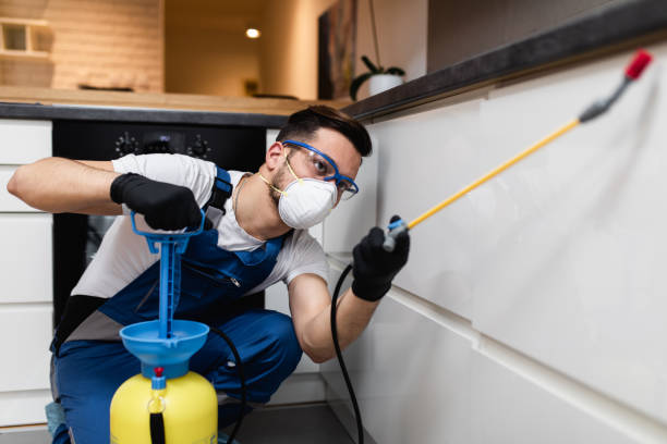 Best Flea Control Services  in Collinsburg, PA