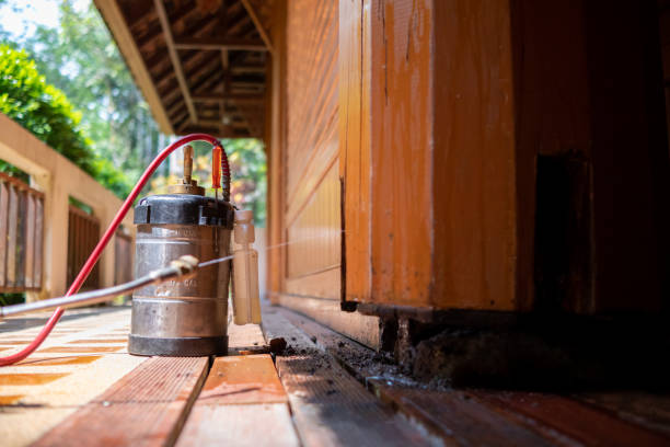 Best Insect Control  in Collinsburg, PA