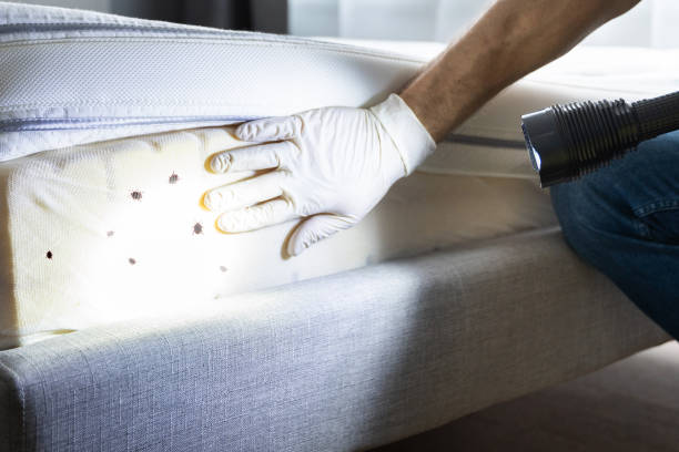 Best Best Pest Control Companies  in Collinsburg, PA