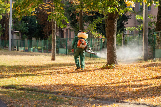 Best Pest Prevention Services  in Collinsburg, PA